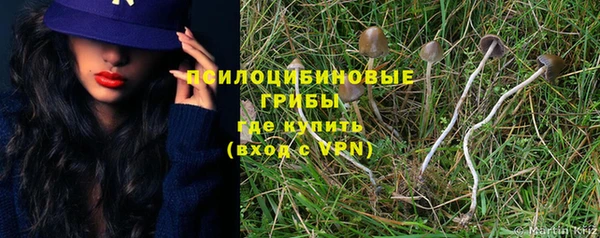 ECSTASY Покачи