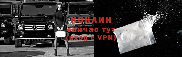 ECSTASY Покачи