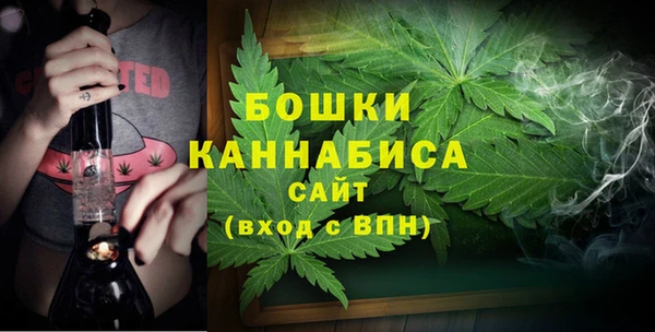 ECSTASY Покачи