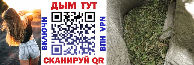 Купить  Ахтырский  Шишки марихуана план 