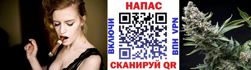 Конопля OG Kush Ахтырский